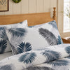 Coastal Palm