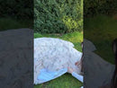 Timeless Wildflower Meadow Duvet Cover Set