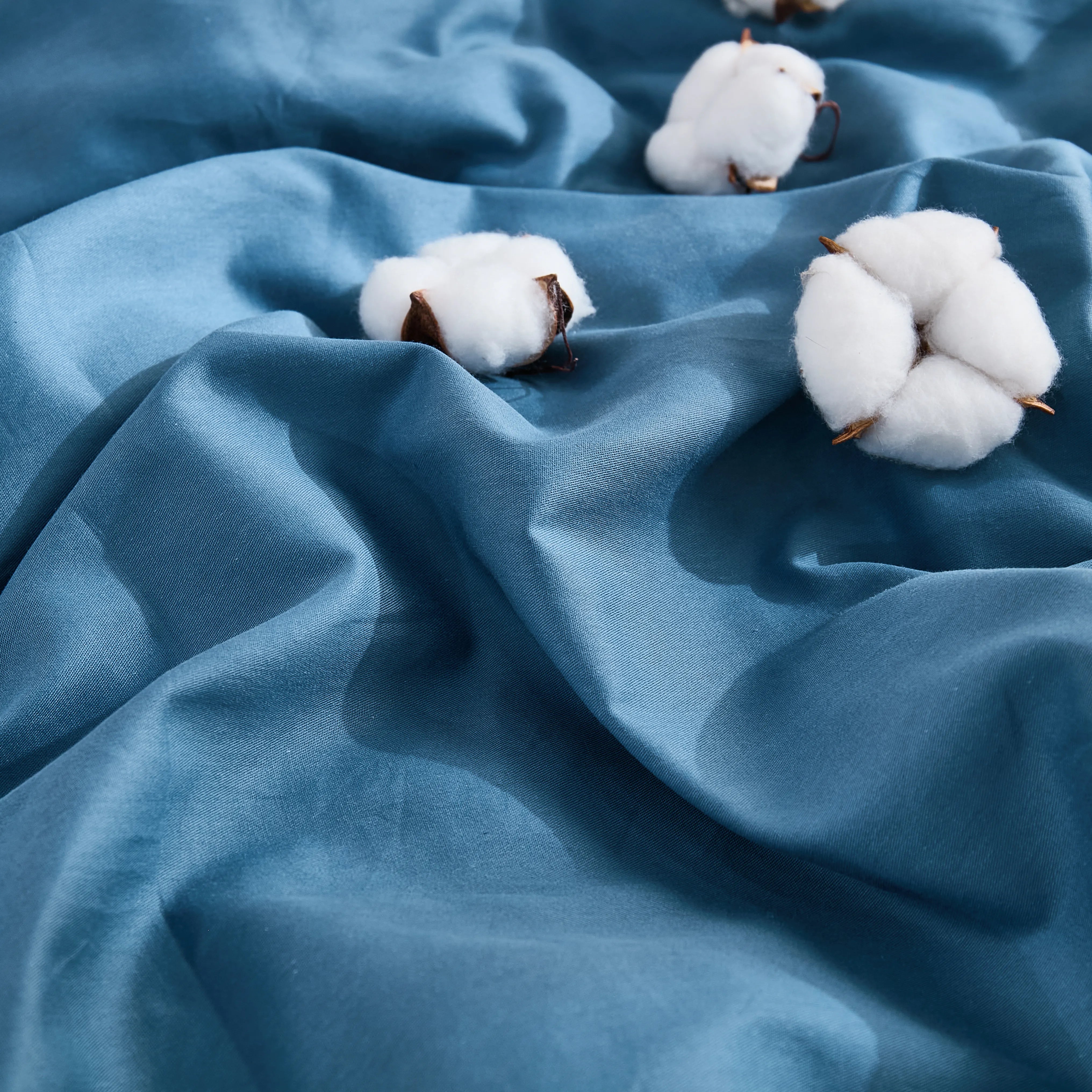 Top view of soft blue duvet with three cotton blooms on fabric surface