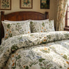 Vintage Fern