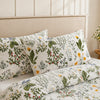 Vintage Fern
