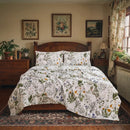 vintage herbarium botanical sheet set vintage scientific illustration
