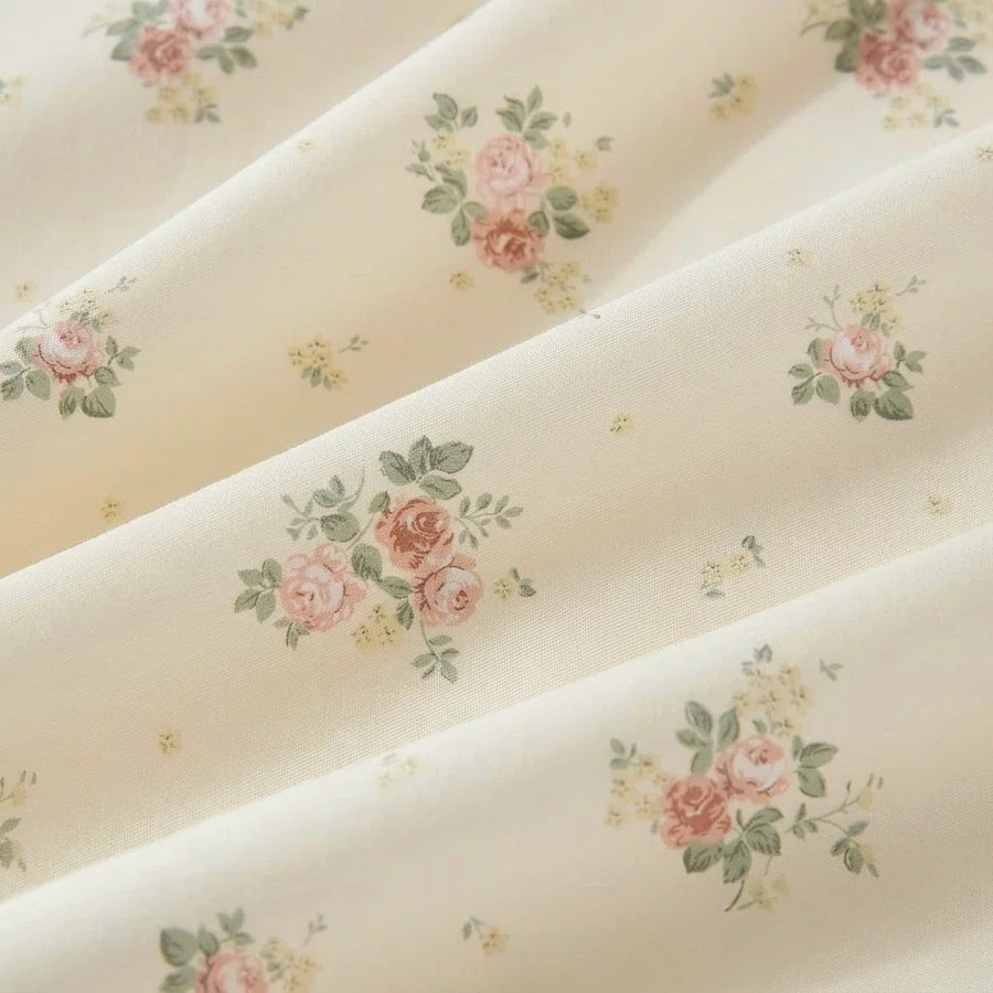 vintage sun rose evergreen
