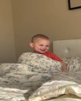 @ x4_alinav